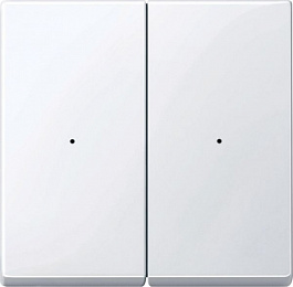 Sm, клавиша для модуля 2 кн. вык, ак.бел Schneider Electric. Вид 1
