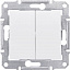 Выключатель 2-клавишный 10А (белый) Sedna Schneider Electric. Вид 1.