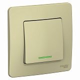 Systeme Electric: BLNVS010117