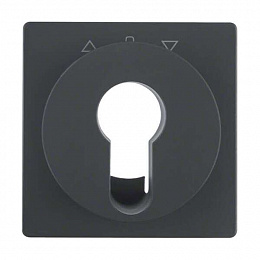 Накладка для жалюзийного замочного выключателя/кнопки (антрацитовый, бархатный лак) Q.1/Q.3 Berker. Вид 1