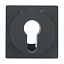 Накладка для жалюзийного замочного выключателя/кнопки (антрацитовый, бархатный лак) Q.1/Q.3 Berker. Вид 1.