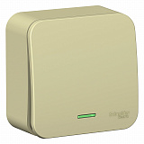 Systeme Electric: BLNVA101117