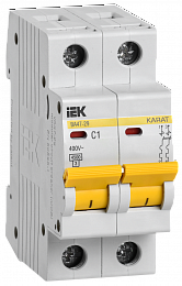 ВА47-29 Автоматический выключатель 2-полюсный, 1А, 4,5kA (хар-ка C) ИЭК. Вид 1