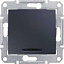 Переключатель 1-клавишный, с красной инд., сх. 6, 10а, 250В (графит) Sedna Schneider Electric. Вид 1.