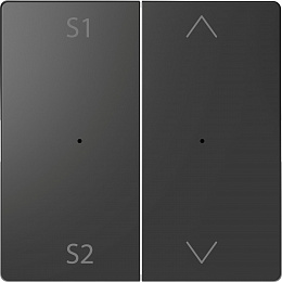 Клавиша 2-ная с s1/s2, вх/вз (антрацит) Merten D-Life Schneider Electric. Вид 1