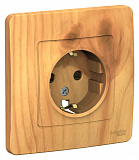 Systeme Electric: BLNRS001015