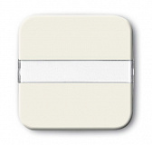 ABB: 2CKA001731A0561