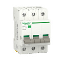 Schneider Electric: R9PS363