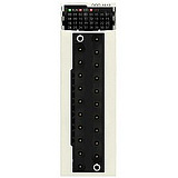 Schneider Electric: BMXDDO1612H