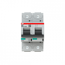 S802P B80 Автоматический выключатель 2-полюсный, 80A, 50kA (хар-ка B) ABB. Вид 1
