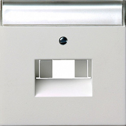 Накладка 50*50 мм для розеток RJ45/RJ11 с полем для надписи (белый глянцевый) F100 Gira. Вид 1