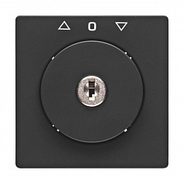 Накладка с замком к жалюзийному замочному выключателю (антрацитовый, бархатный лак) Q.1/Q.3 Berker. Вид 1