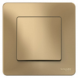 Systeme Electric: BLNVS010604