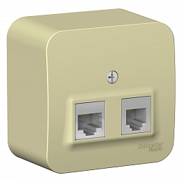 Розетка двойная: RJ45 компьютерная + RJ11 телефонная, изол. пл.,О/У (бежевый) Blanca Systeme Electric. Вид 1