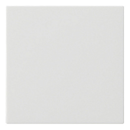 Накладка на жалюзийный выключатель (белый матовый) System 55 Gira. Вид 1