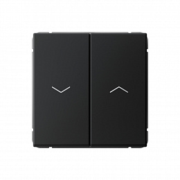 Выключатель 2-кл. для жалюзи, 2х сх.4, 10А, механизм (карбон) ARTGALLERY Systeme Electric. Вид 1