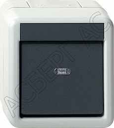 10213 Выключатель двухполюсный IP20 д/открытого монтажа  GIRA. Вид 1