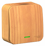 Systeme Electric: BLNVA101105