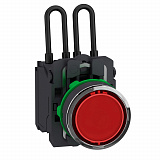 Schneider Electric: XB5AW24B5