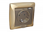 Schneider Electric: WDE000446