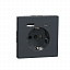 Розетка силовая 16 A с зарядкой USB A+C 3 A (антрацит) Merten D-Life Schneider Electric. Вид 1.