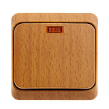 Systeme Electric: BA10-005T