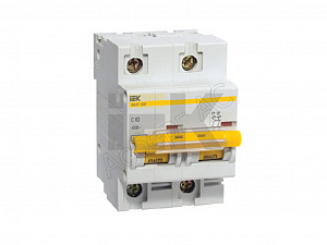 ВА47-100 Автоматический выключатель 2-полюсный, 100А, 10kA (хар-ка C) ИЭК. Вид 1