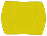 Schneider Electric: ZB6YDW5