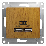 Systeme Electric: GSL000533