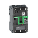 Schneider Electric: C11B3TM080L