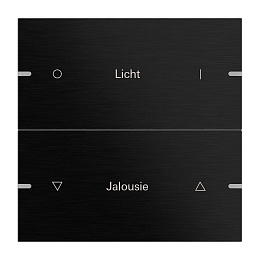 Клавиша 2-ная для сенсорного выключателя4 KNX, гравировка Gira. Вид 1