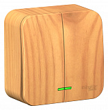 Systeme Electric: BLNVA105115