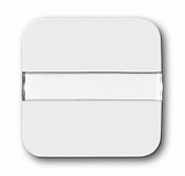 ABB: 2CKA001731A1452