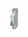 Siemens: 5SY61017