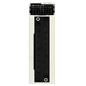 Schneider Electric: BMXDAI0805RU