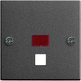 Клавиша (антрацит) System 55 Gira. Вид 1