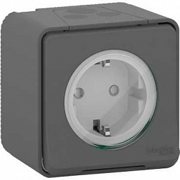 Розетка с з/к. и шторками, о/у, в сборе, IP55 (антрацит) Mureva Styl Schneider Electric. Вид 1