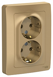 Розетка двойная, с заземлением без шторок, С/У, 16А, 250В (титан) Blanca Systeme Electric. Вид 1