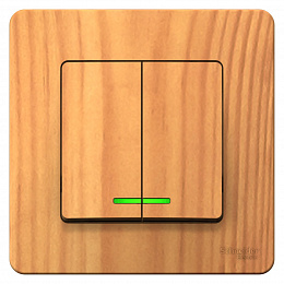 Выключатель 2-клавишный, С/У, (cх.5) с подсв., 10а, 250b (ясень) Blanca Systeme Electric. Вид 1