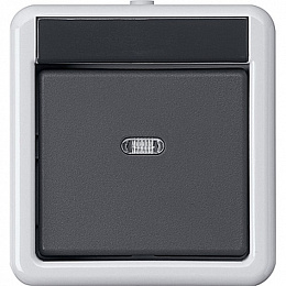 Кнопка шинн. контр. 1-местная, 2-точечн. Накл. водоз. монт. (серый) Gira. Вид 1