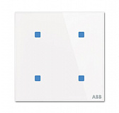 ABB: 2CKA006300A1581