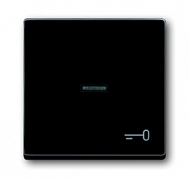 1789 TR-81 Клавиша для механизма 1-клавишного выключателя/переключателя/кнопки, с прозрачной линзой и символом "КЛЮЧ", серия solo/future, цвет антрац. Вид 1