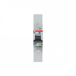 S801P D80 R Автоматический выключатель, 1-полюсный, 80А, 50kA, с кольцевой клеммой (хар-ка D) ABB. Вид 1