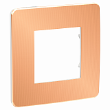Schneider Electric: NU280257