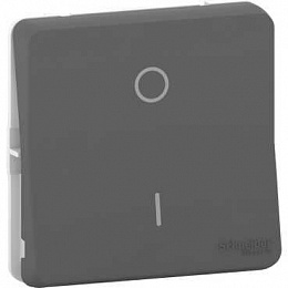 Переключатель 2-полюсный, механизм IP55 (антрацит) Mureva Styl Schneider Electric. Вид 1