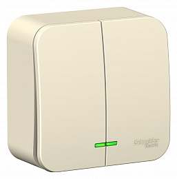 Выключатель 2-клавишный, О/У, (cх.5) с подсвет, 6а, 250В (молочный) Blanca Systeme Electric. Вид 1