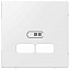 Центральная Накладка для USB Механизма 2,1а, полярный, sm (полярный белый) Merten Schneider Electric. Вид 1.