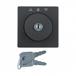 Накладка с замком к жалюзийному замочному выключателю (антрацитовый, бархатный лак) Q.1/Q.3 Berker. Вид 1