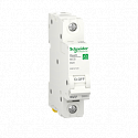 Schneider Electric: R9F02110