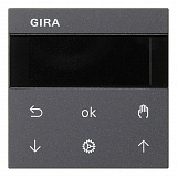 GIRA: G536628